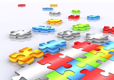 球队新引援登场，期待他们的表现