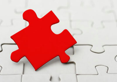 球队新引援登场，期待他们的表现